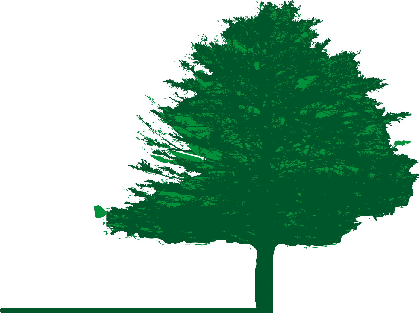 木のイラスト背景